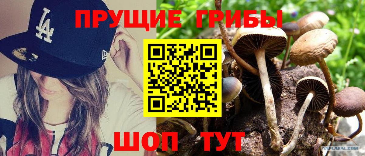 МЕФ Осинники