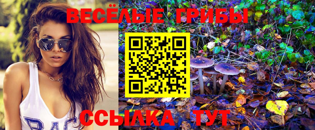 Осинники  Галлюциногенные грибы Psilocybine cubensis  Галлюциногенные грибы мицелий  Вход с VPN 